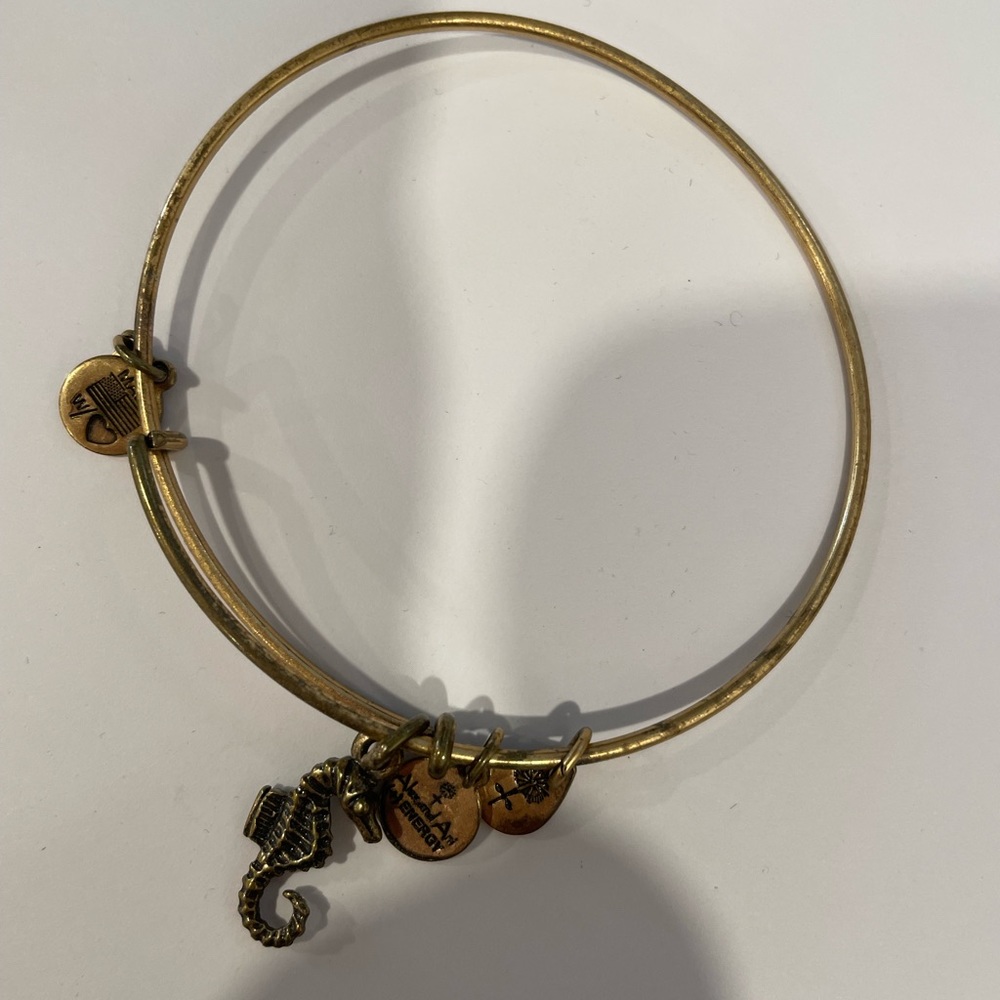 Alex and Ani seahorse bracelet